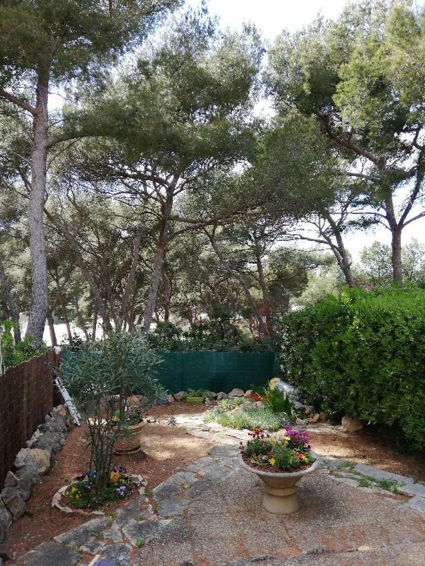 T2 Rez De Jardin 300M Plage De Beaucours Sanary Sur Mer Buitenkant foto